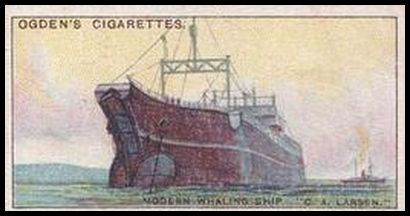 25 Modern Whaling Ship C. A. Larsen